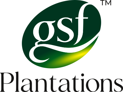 GSF Plantations